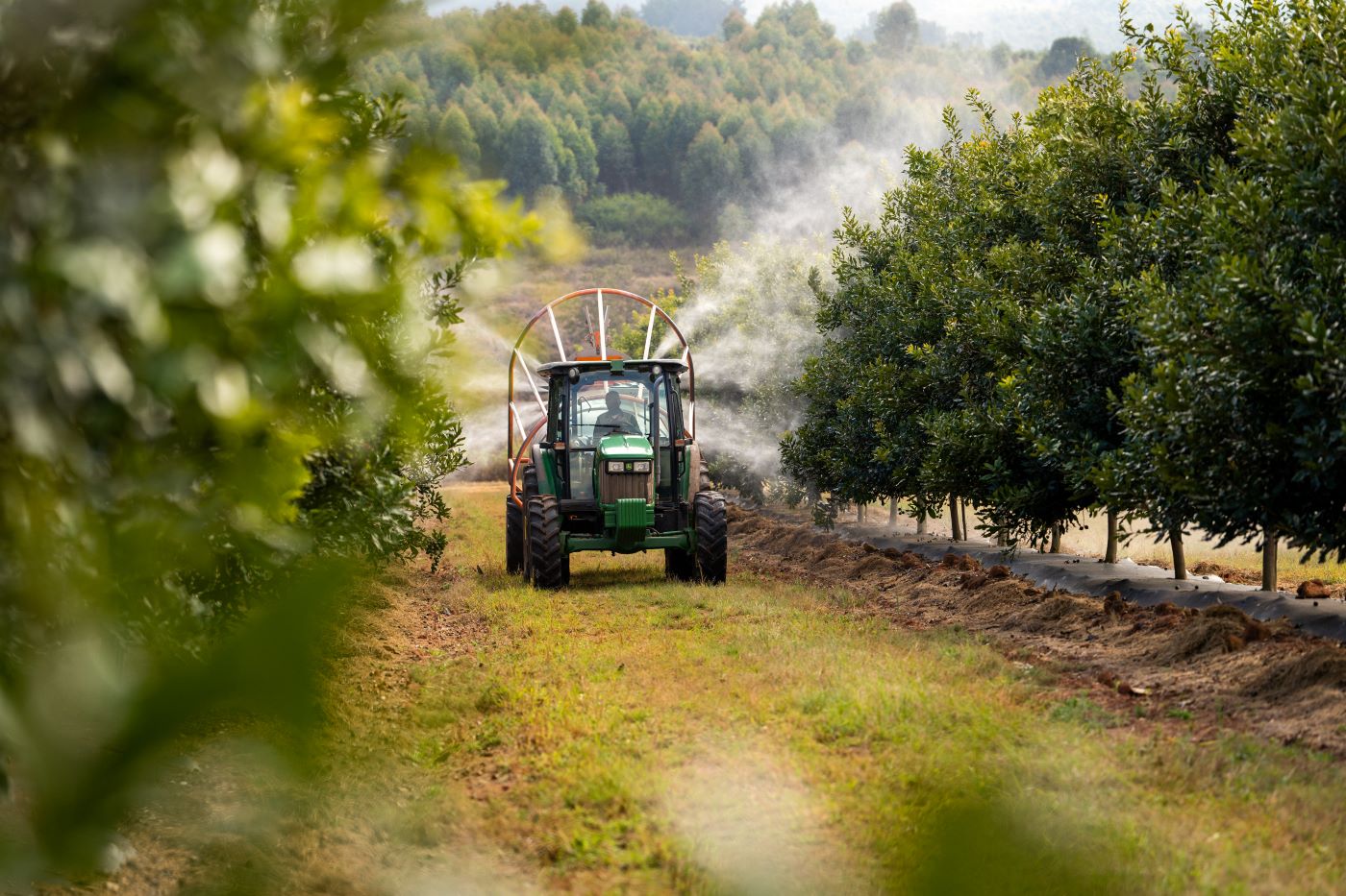 Die beginsels van ‘n goeie familieboerdery is…