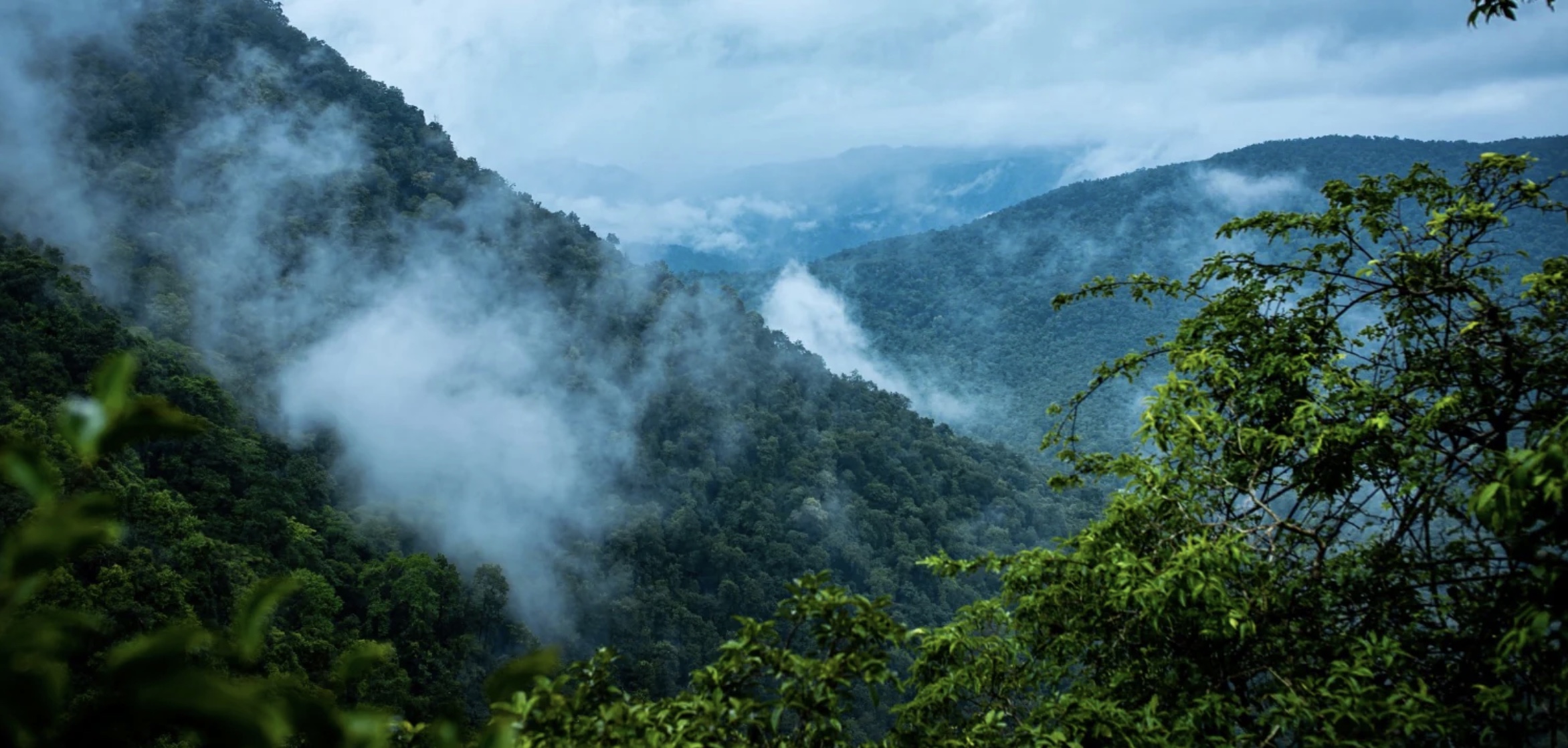 Wat sal in SA landbou gebeur as Suid-Amerika se reënwoude tot niet gaan?