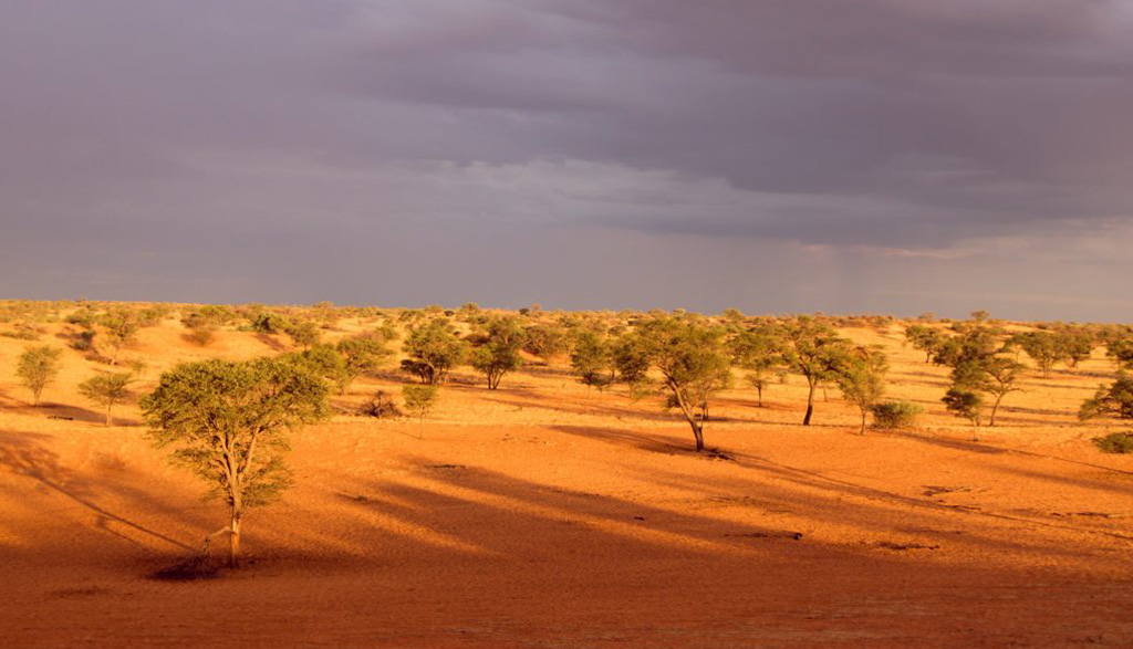 Op reis met ons ‘n nuwe oggendboekvoorlesing