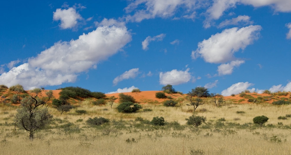 Op reis met ons nuwe oggendboekvoorlesing