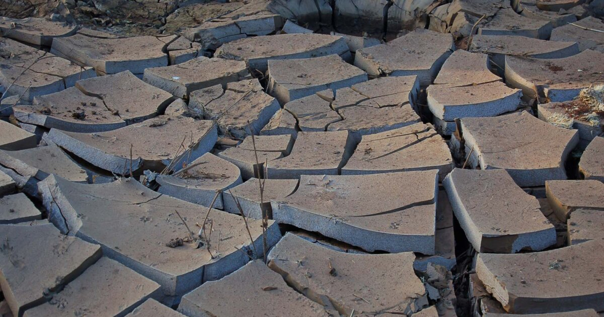 Hoe kan die komende El Niño-seisoen somergewasse affekteer?