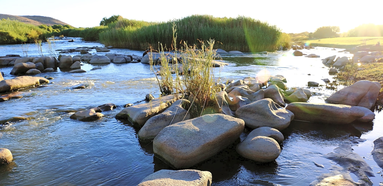 Ons nuwe boekvoorlesing begin Dinsdag: "Solank as die aarde"