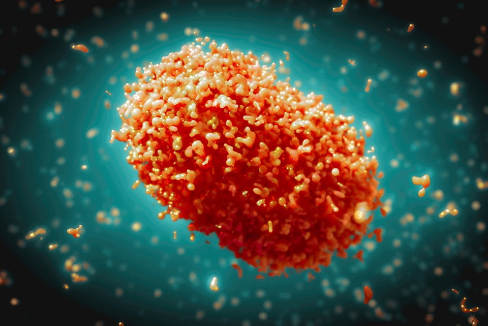 A-pokke in SA; Ebola neem steeds toe