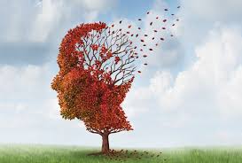 Hoe bestuur ‘n pasiënt en familie Alzheimer-siekte?